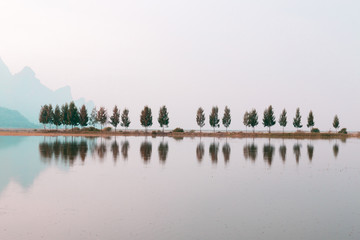 什么是生物的种和界？