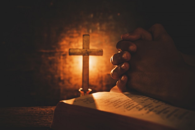 什么是生物的种和界?